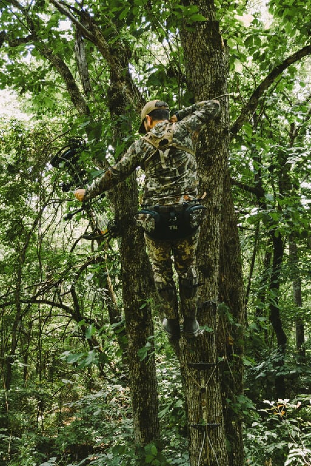 early_season_whitetail